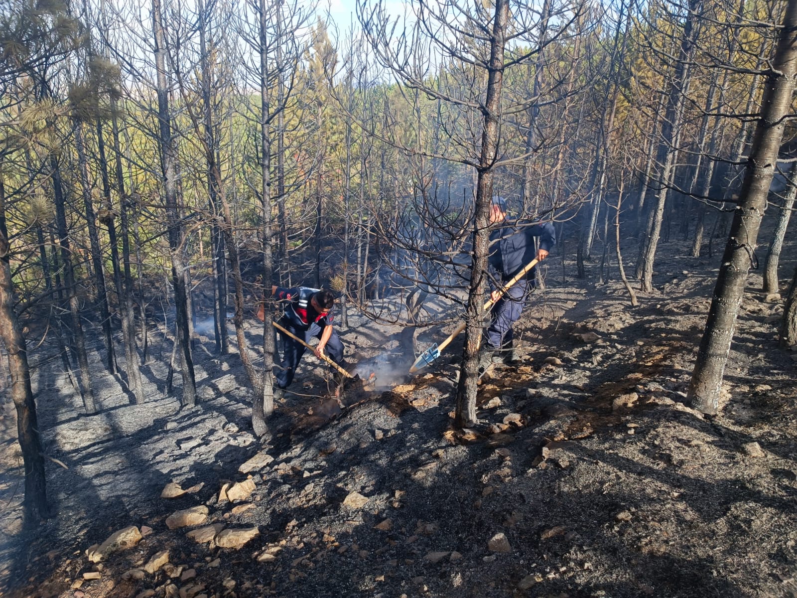Konya’da orman yangını! Havadan ve karadan müdahale ediliyor