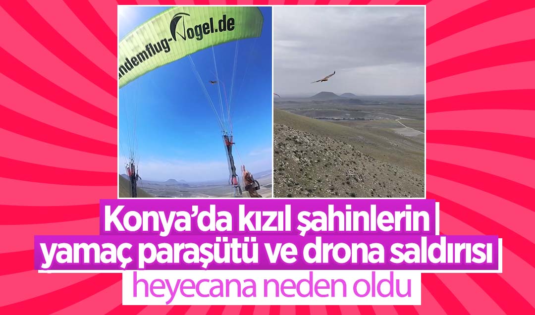 Konya’da kızıl şahinlerin yamaç paraşütü ve drona saldırısı heyecana neden oldu