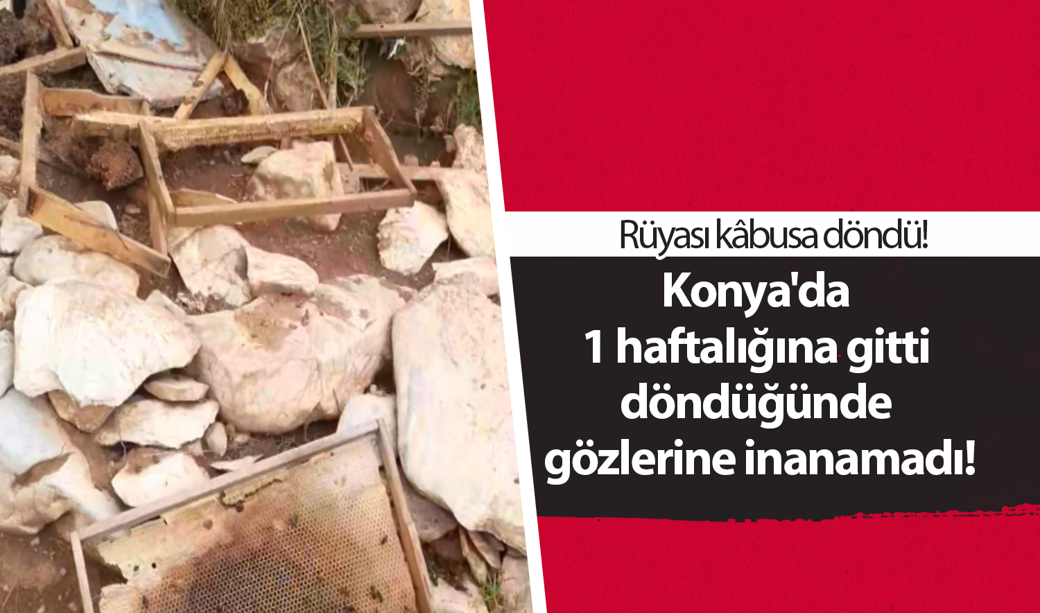 Konya’da 1 haftalığına gitti döndüğünde gözlerine inanamadı! Rüyası kâbusa döndü!