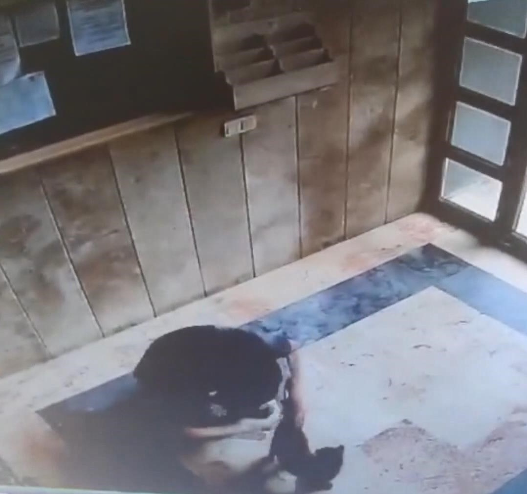 İşkenceyle öldürülen “Cezve“nin katiline indirimsiz 3 yıl 8 ay hapis