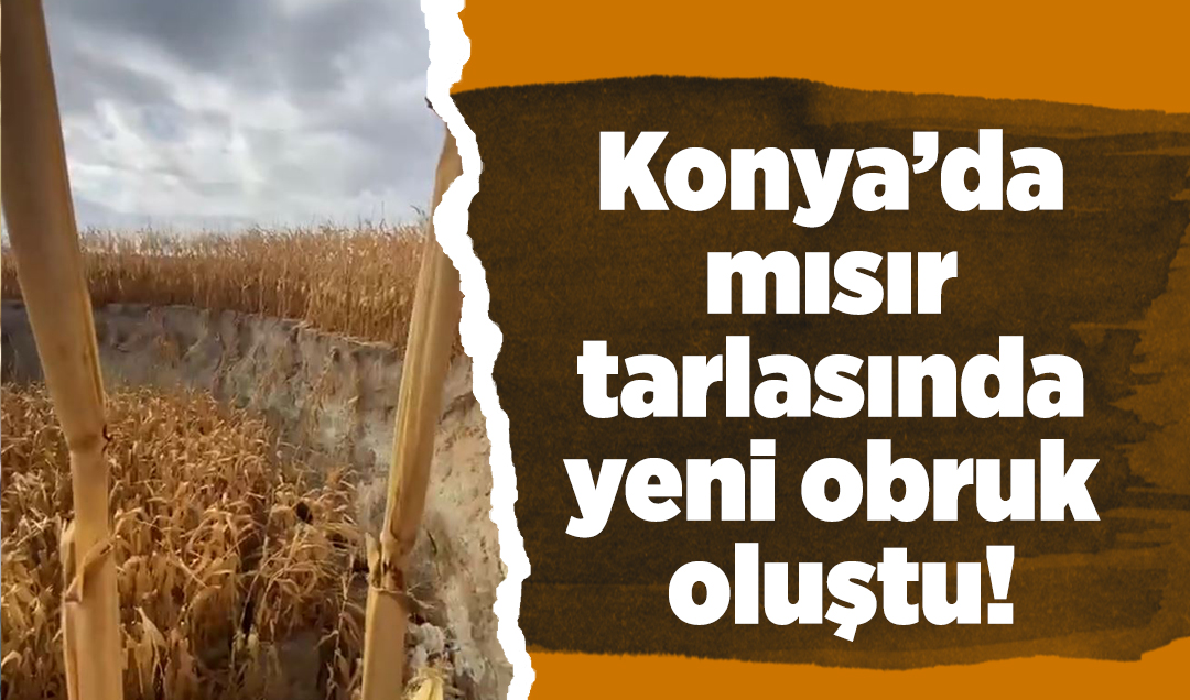 Konya’da mısır tarlasında yeni obruk oluştu! Yine aynı ilçe