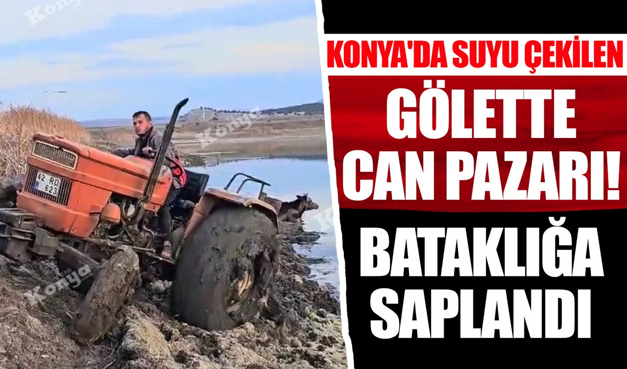 Konya’da suyu çekilen gölette can pazarı! Bataklığa saplandı