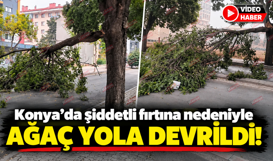 Konya’da şiddetli fırtına nedeniyle ağaç yola devrildi! 