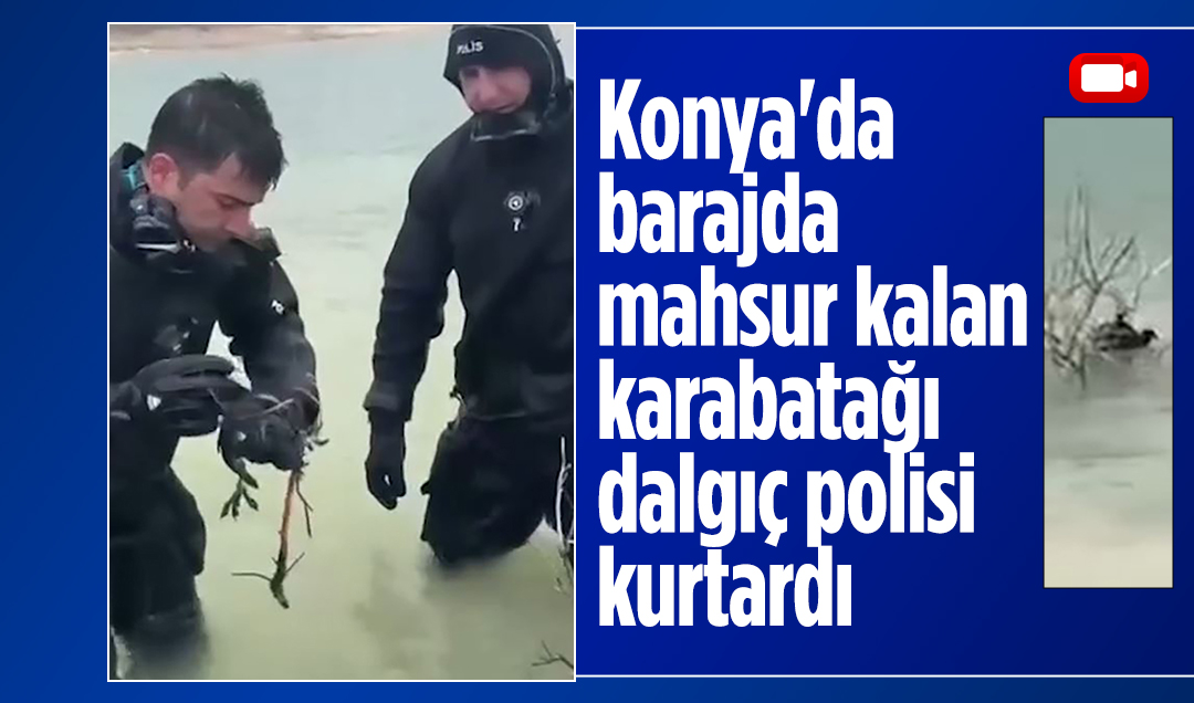 Konya’da barajda mahsur kalan karabatağı dalgıç polisi kurtardı
