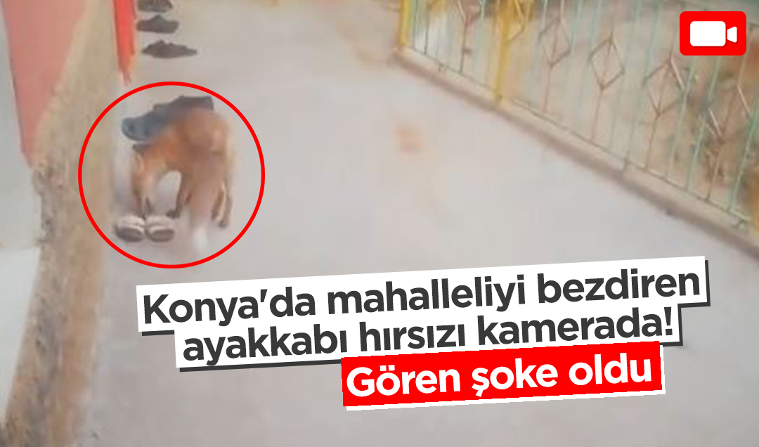 Konya’da mahalleliyi bezdiren ayakkabı hırsızı kamerada! Gören şoke oldu