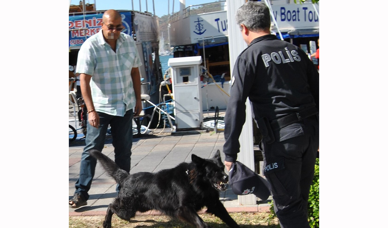 29 Ekim kutlamalarında köpek polise saldırdı! O anlar kamerada