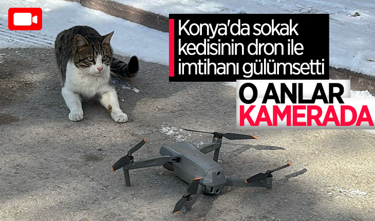 Konya’da sokak kedisinin dron ile imtihanı gülümsetti