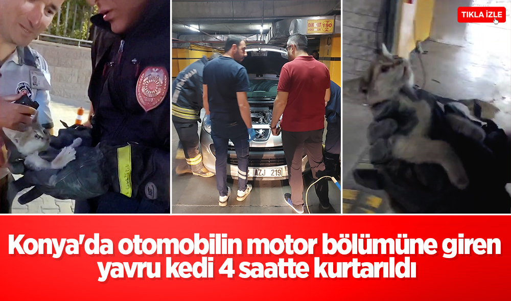 Konya’da otomobilin motor bölümüne giren yavru kedi 4 saatte kurtarıldı