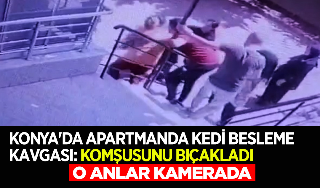 Konya’da apartmanda kedi besleme kavgası: Komşusunu bıçakladı 