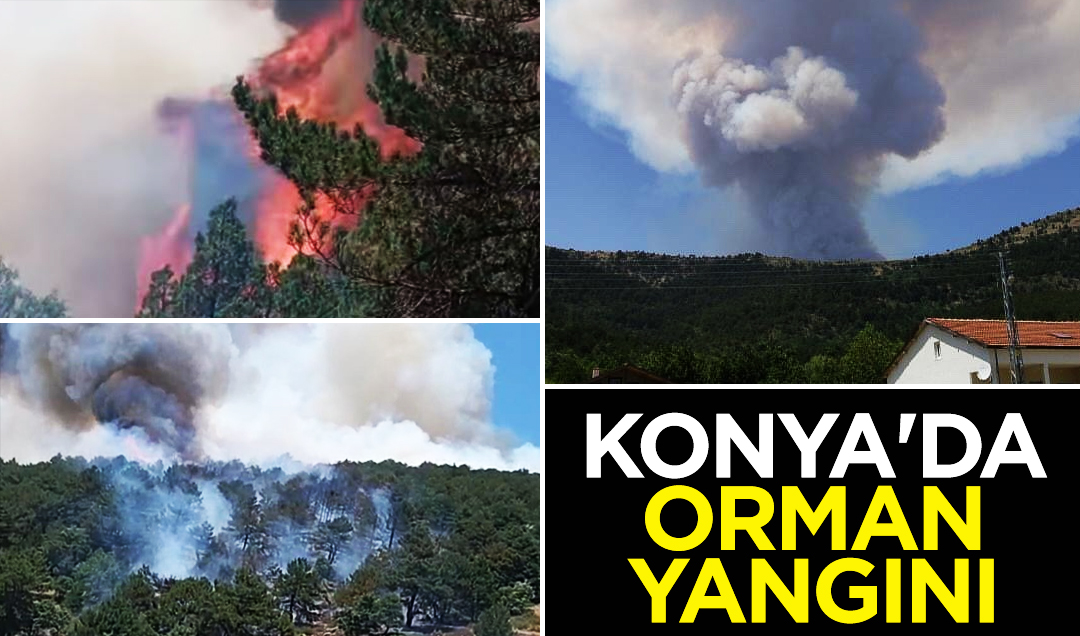Konya’da ormanlık alanda yangın çıktı! Ekipler müdahale ediyor