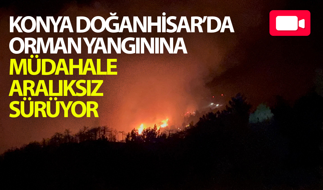 Konya Doğanhisar’da orman yangınına müdahale sürüyor