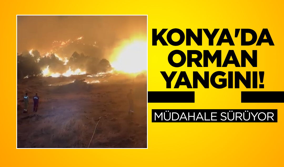Konya’da orman yangını! Müdahale sürüyor
