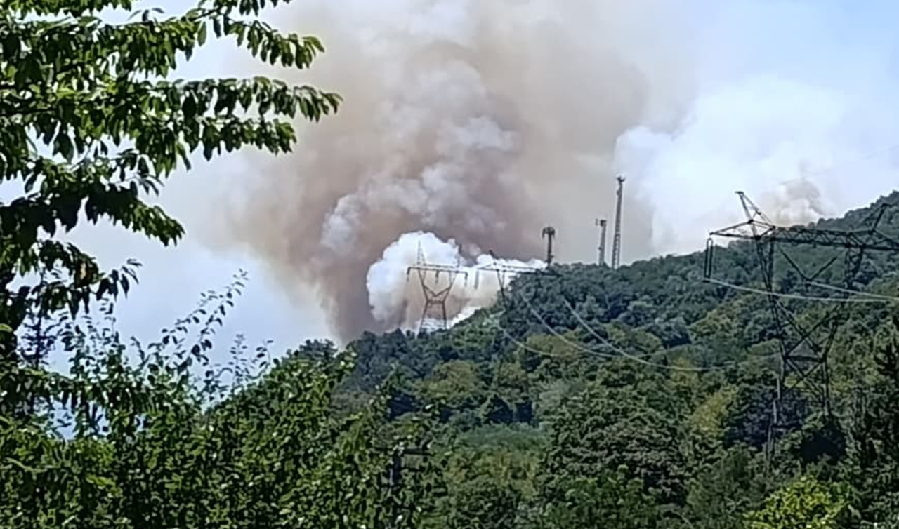Yeni bir orman yangını çıktı!