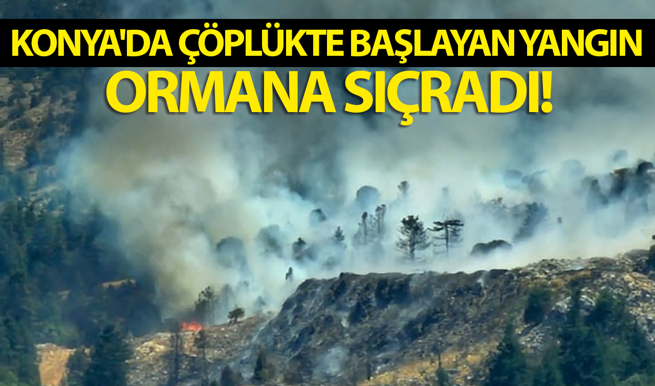 Konya’da çöplükte başlayan yangın ormana sıçradı!