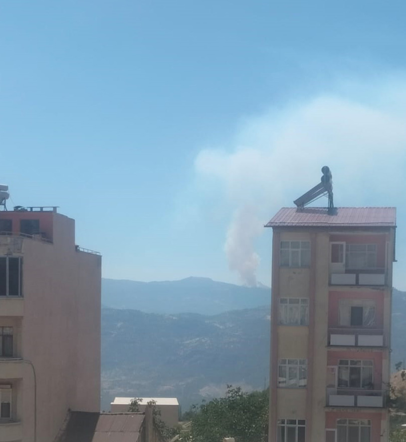 Karaman’da orman yangını