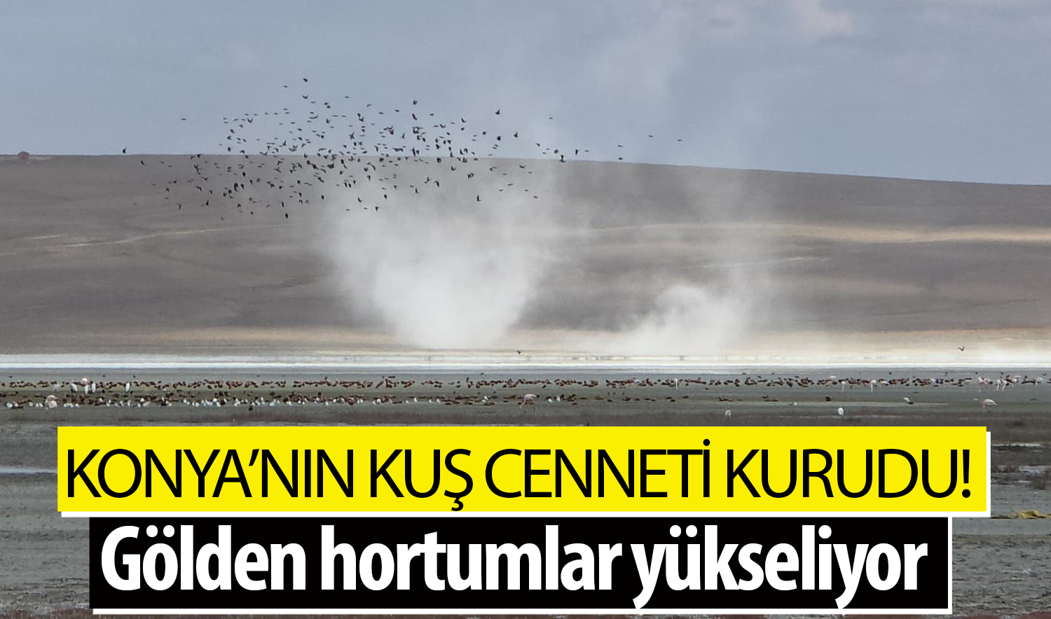 Konya’nın kuş cenneti kurudu! Gölden hortumlar yükseliyor
