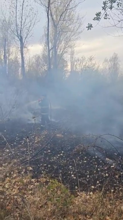 DOĞANHİSAR’DA AĞAÇLIK ALANDA YANGIN PANİĞİ