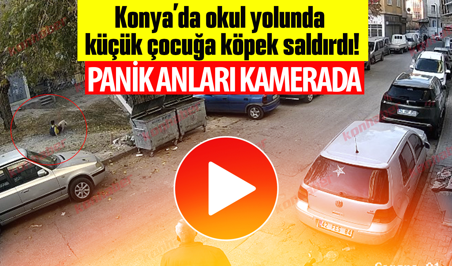 Konya’da okul yolunda küçük çocuğa köpek saldırdı! Panik anları kamerada