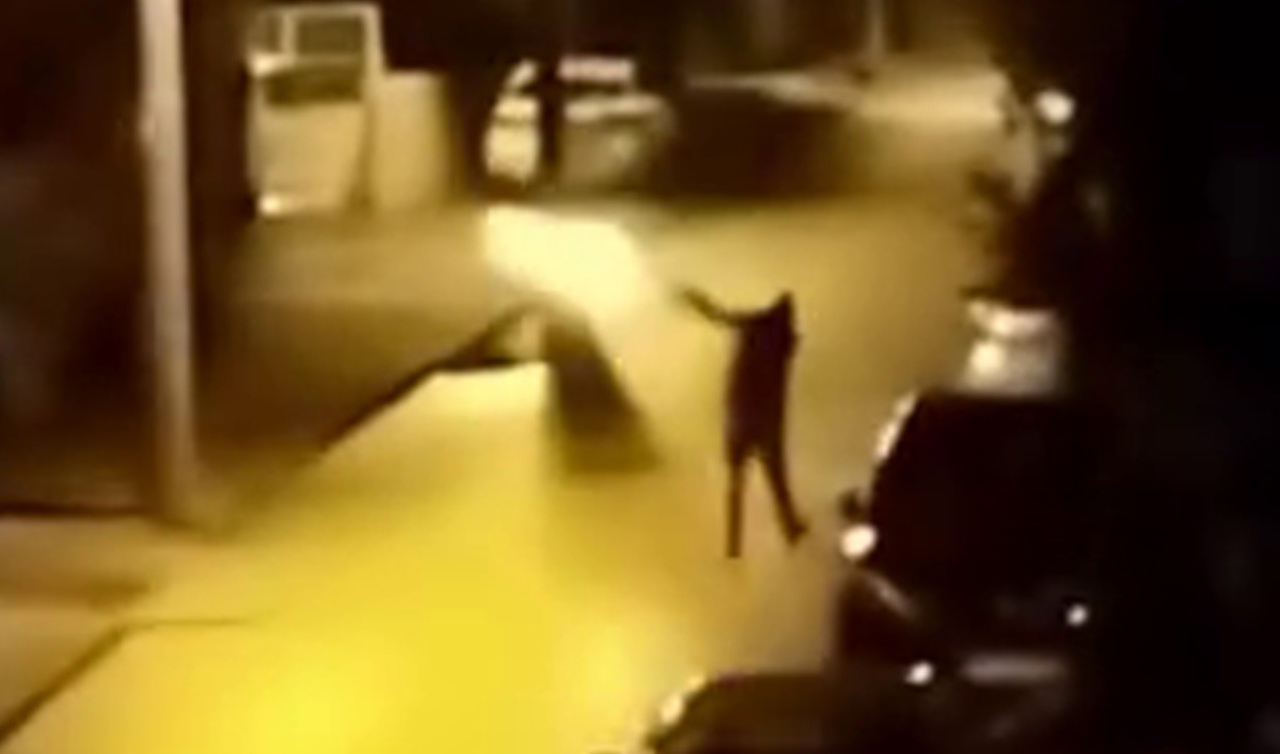 Yılbaşını kutlamak için sokakta havaya ateş açan şahıs yaptığıyla hayrete düşürdü