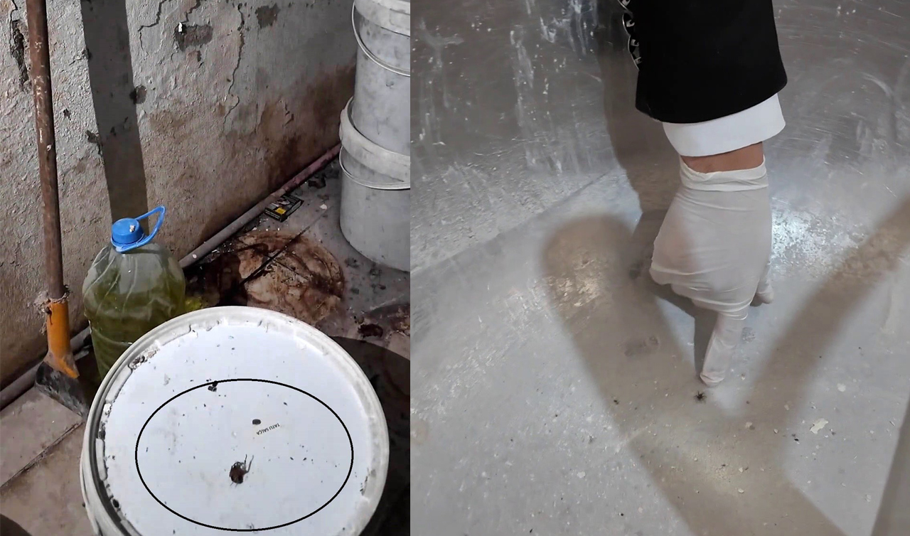 Fırında ortaya çıkan görüntülere tepki gösteren zabıta müdürü: Fareyi geçtim, yılan çıkacak diye korkuyorum