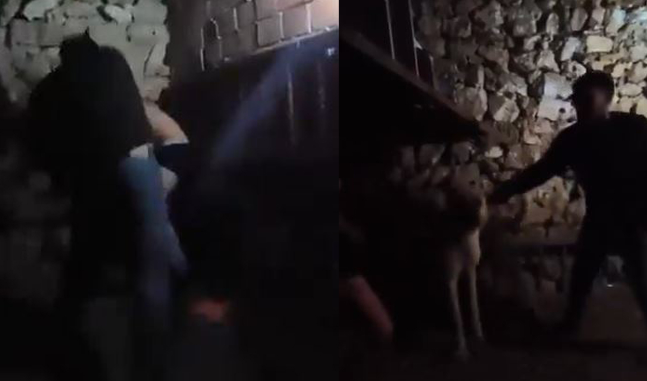 17 yaşındaki çocuğa ahırda şiddet uygulayan kişi yeniden gözaltına alındı