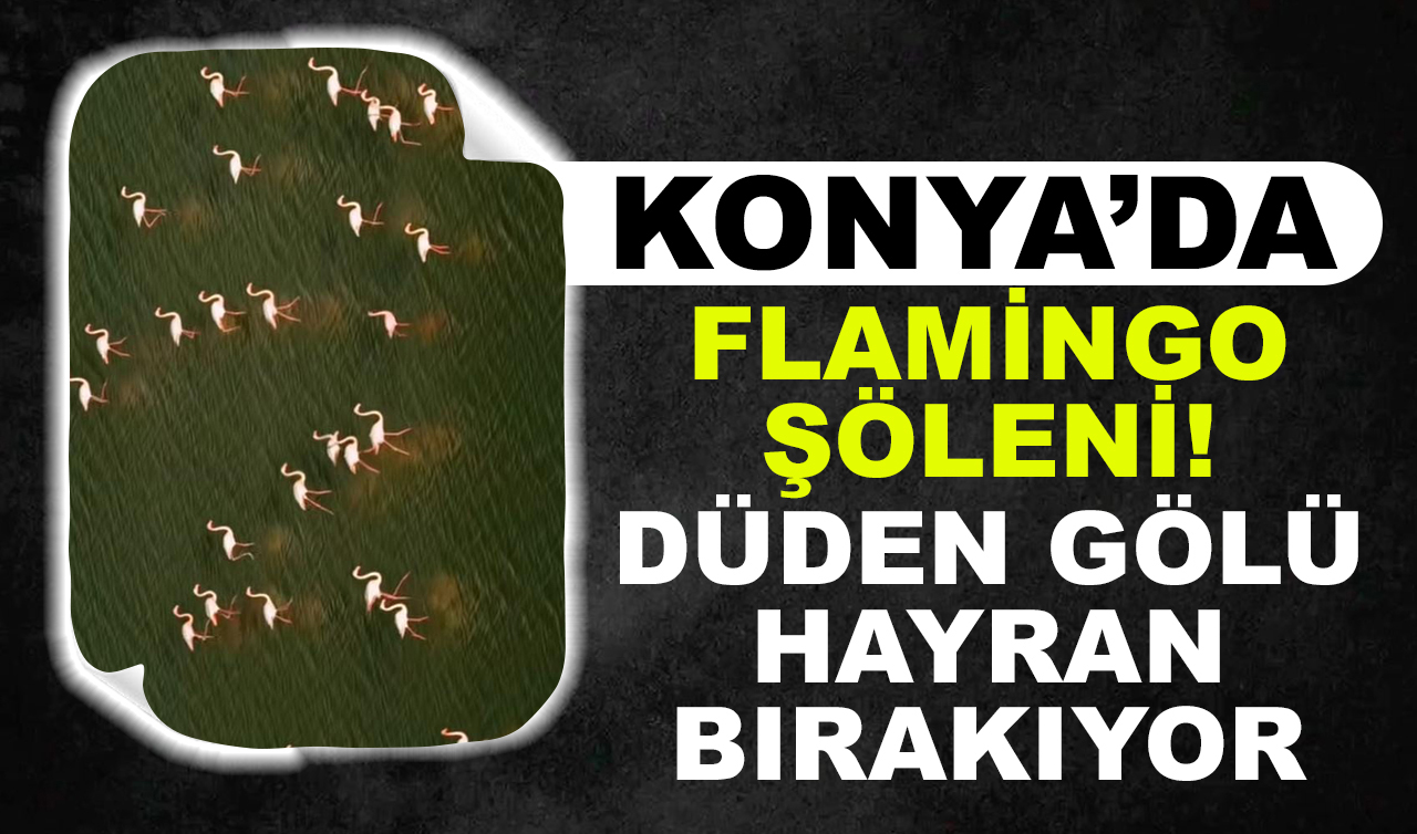 Konya’da flamingo şöleni: Düden Gölü hayran bırakıyor