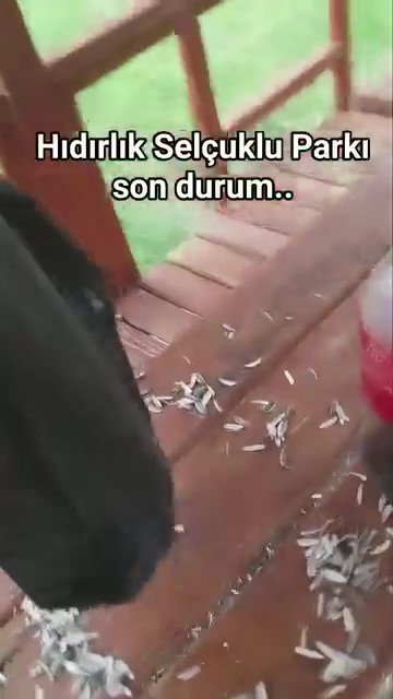 Konya’daki parkta çekilen görüntüler “yakışmadı’’ dedirtti