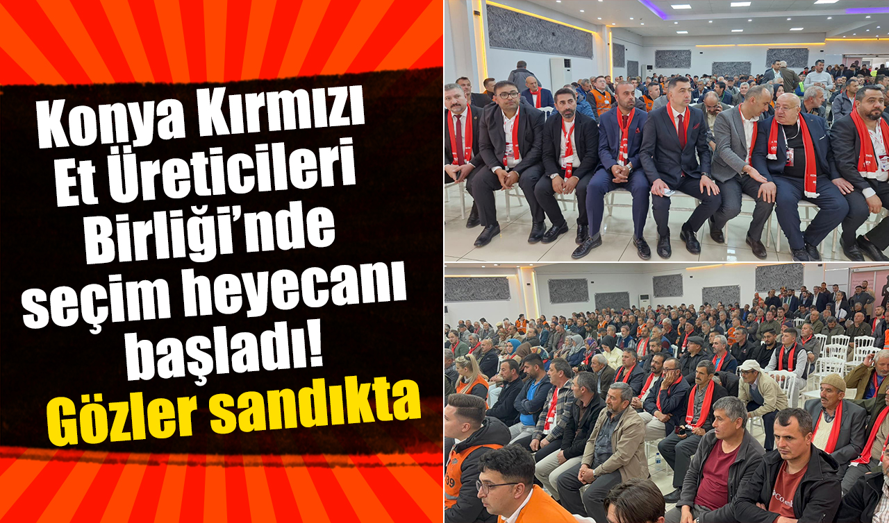 Konya Kırmızı Et Üreticileri Birliği’nde seçim heyecanı başladı! Gözler sandıkta