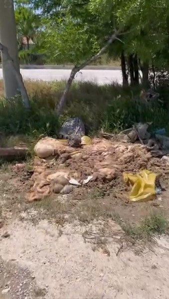 Konya’da kurban atıkları tepki çekti! O anlar kamerada