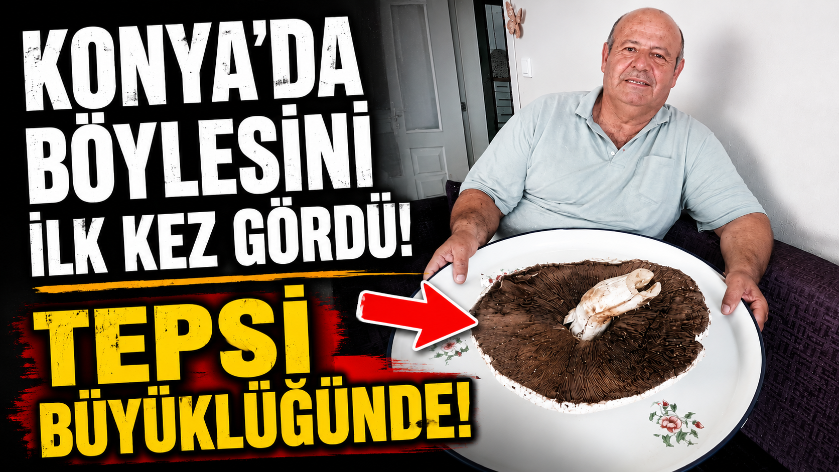 Konya’da böylesini ilk kez gördü! Tepsi büyüklüğünde