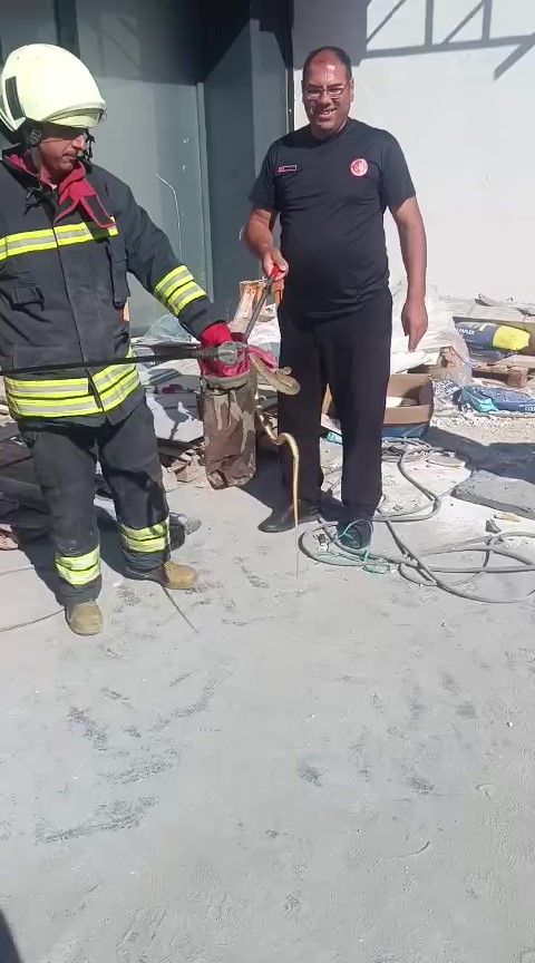 Konya’da apartman önünde görüldü! Mahalledekiler paniğe kapıldı