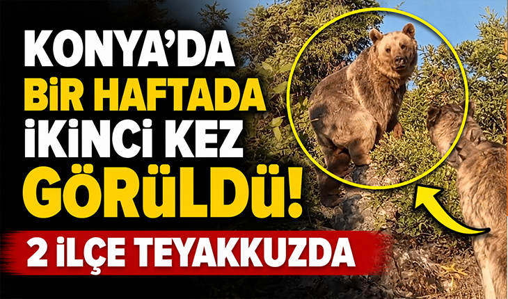 Konya’da bir haftada ikinci kez görüldü! 2 ilçe teyakkuzda