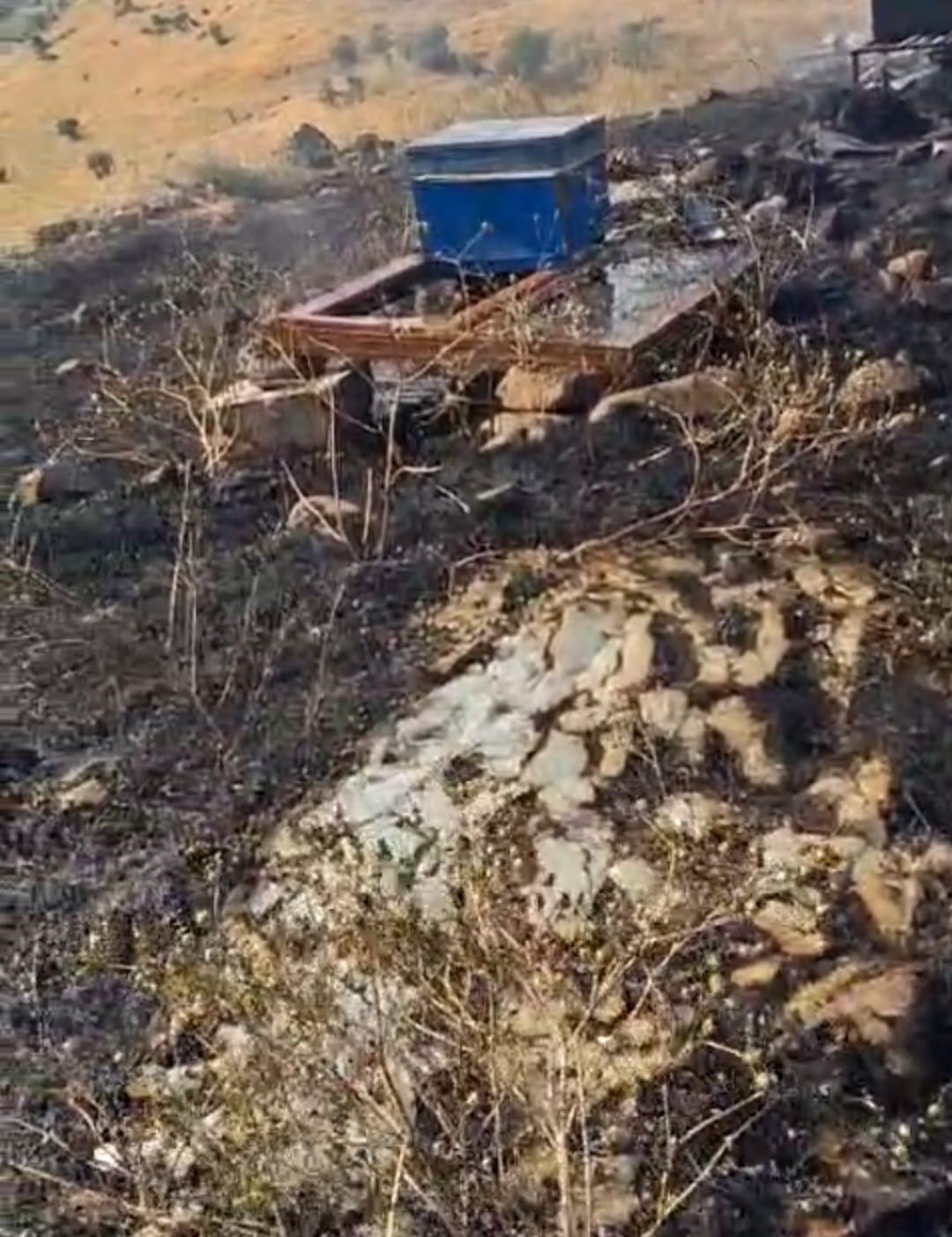 25 arı kovanı küle döndü