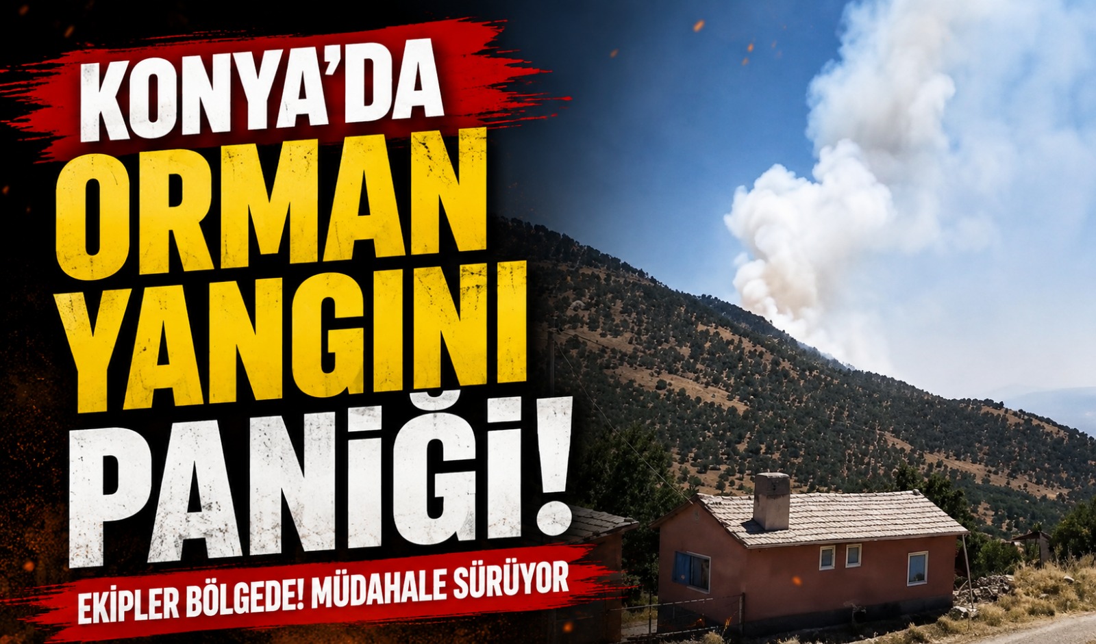 Konya’da orman yangını paniği