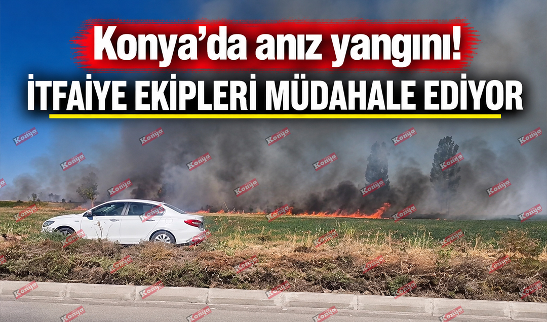	Konya’da anız yangını! İtfaiye ekipleri müdahale ediyor