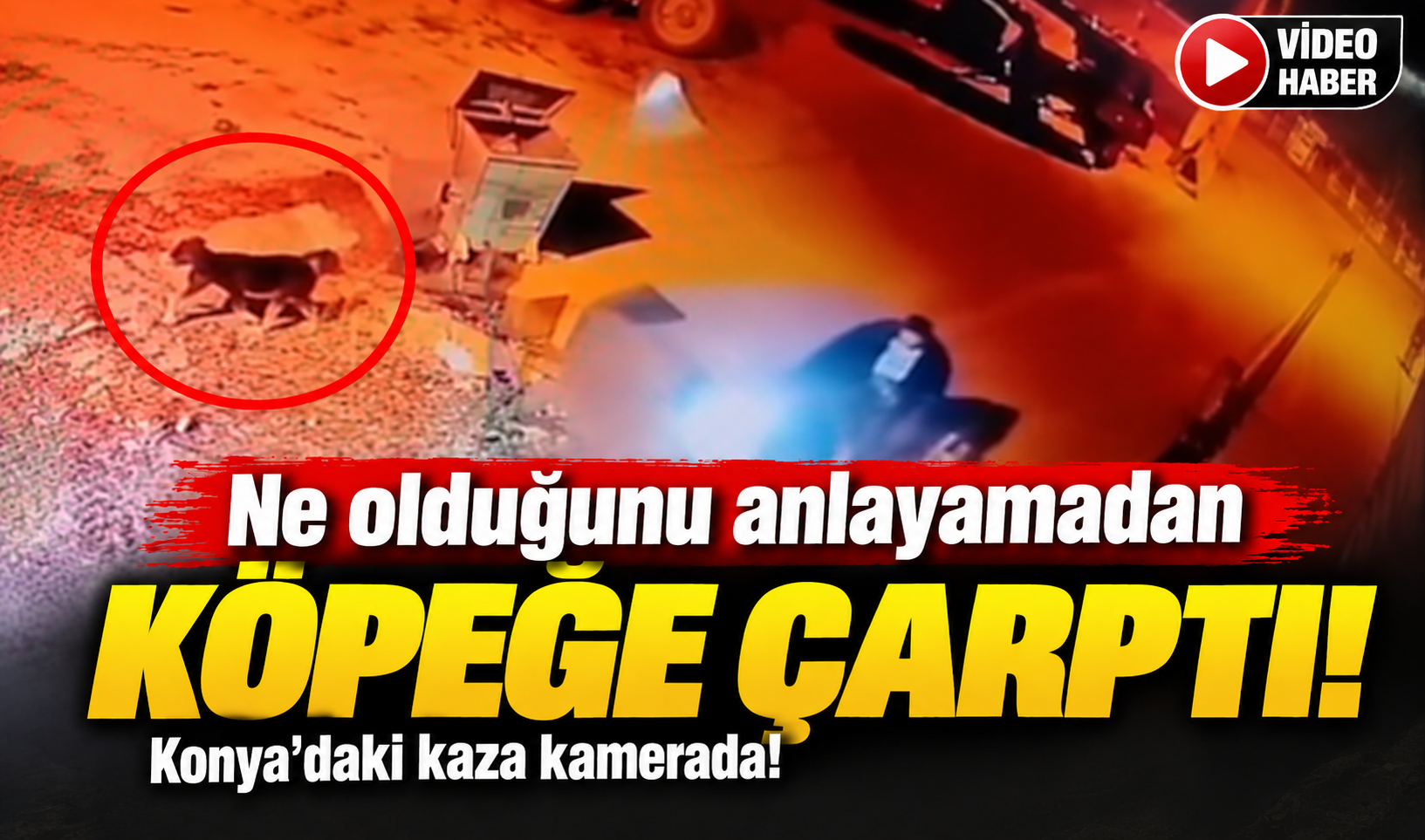 Ne olduğunu anlayamadan köpeğe çarptı! Konya’daki kaza kamerada