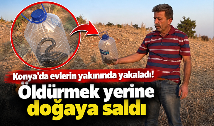 Konya’da evlerin yakınında yakaladı! Öldürmek yerine doğaya saldı