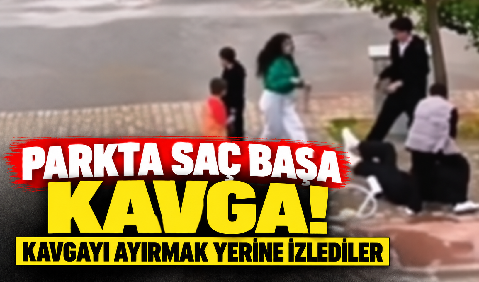 Parkta saç başa kavga! Kavgayı ayırmak yerine izlediler 